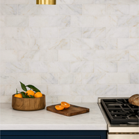 Elysian Calacatta Subway Tile
